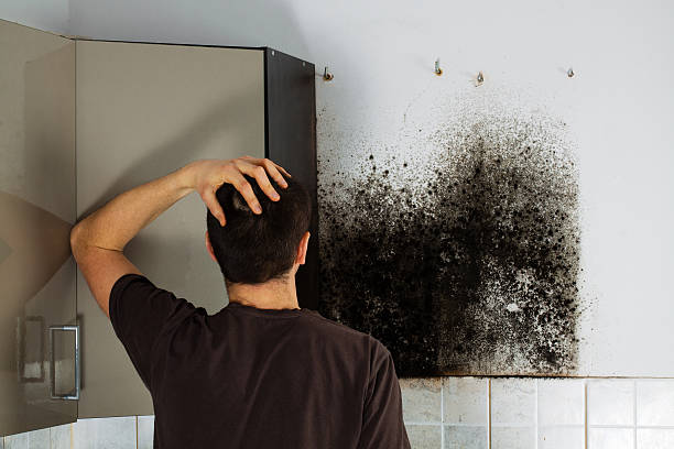 Best Emergency Mold Removal  in Byron Center, MI